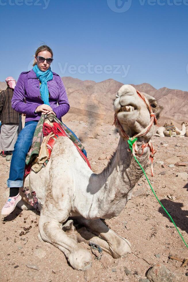 A woman riding a camel photo