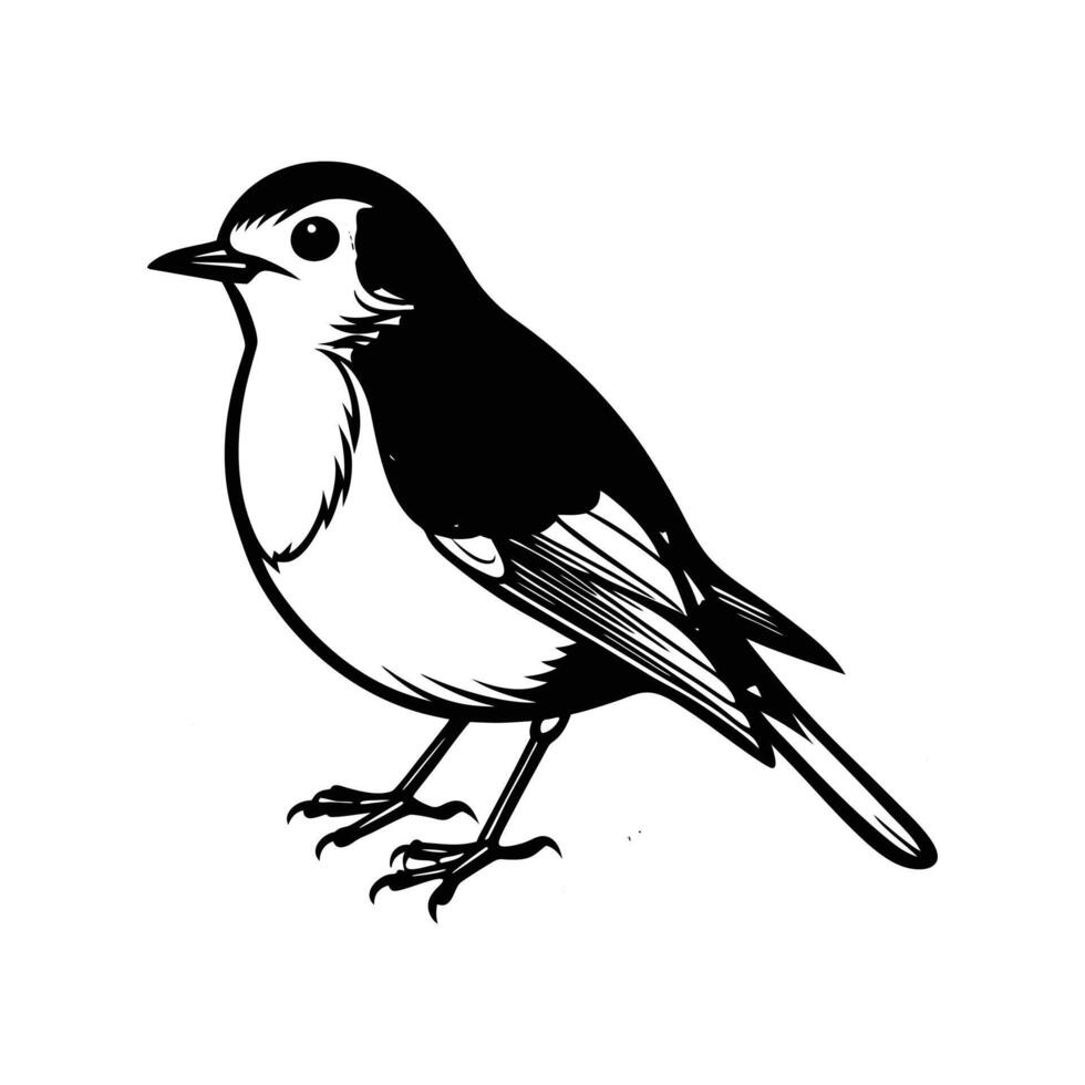 Robin Song in the Countryside vector