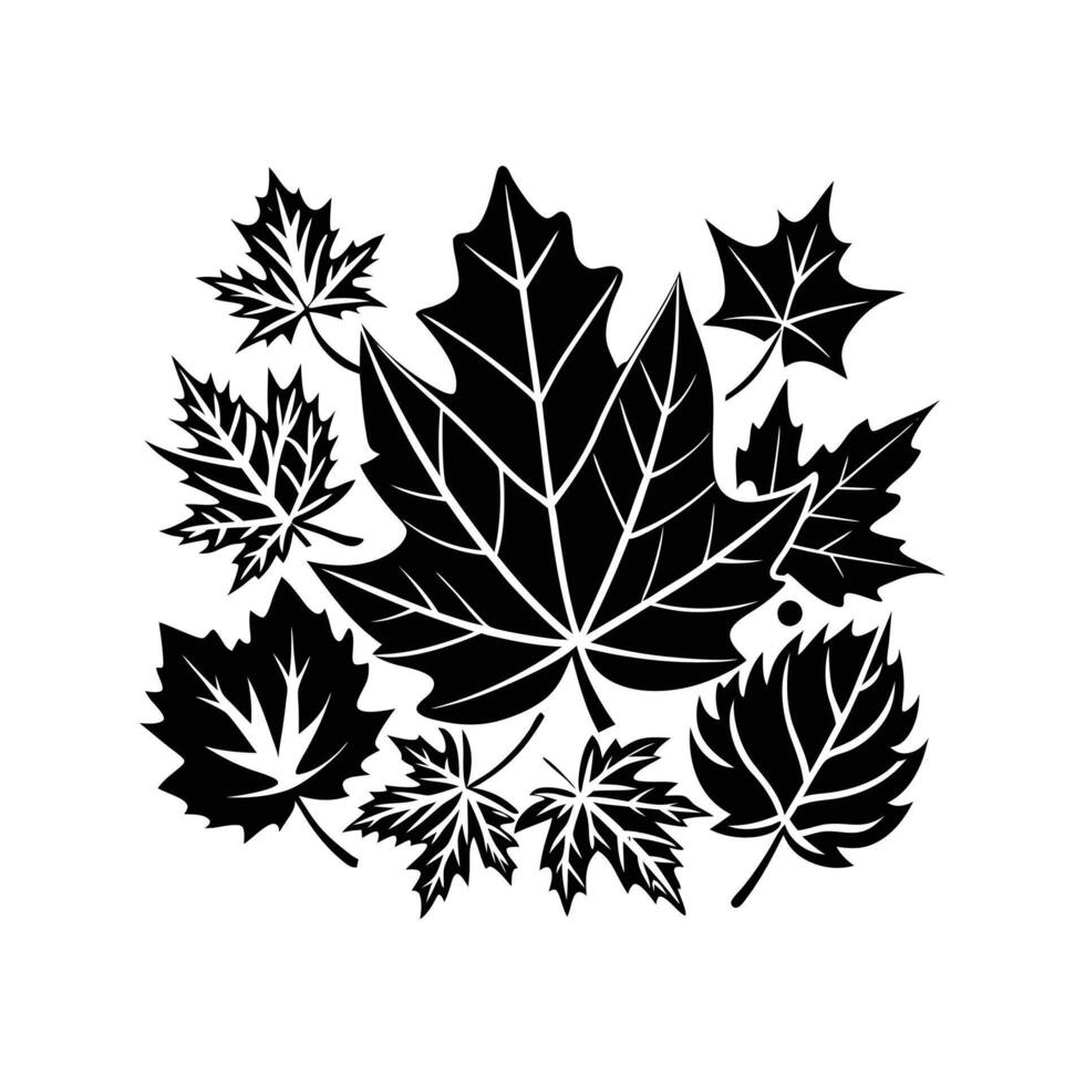 Harvest of Autumn Leaves vector