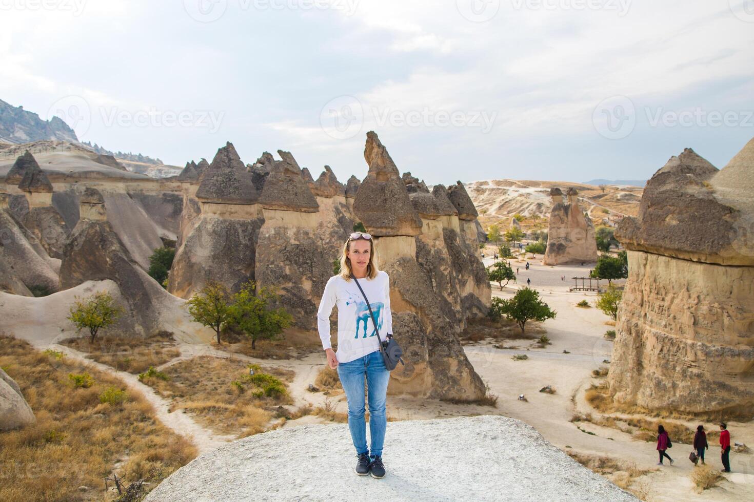 A woman standing on a rock in front of a rocky landscape photo