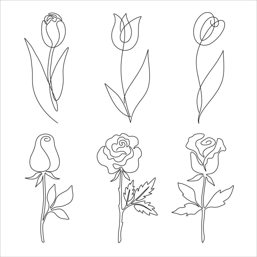 Set of One Line Drawing Flowers Illustrations vector