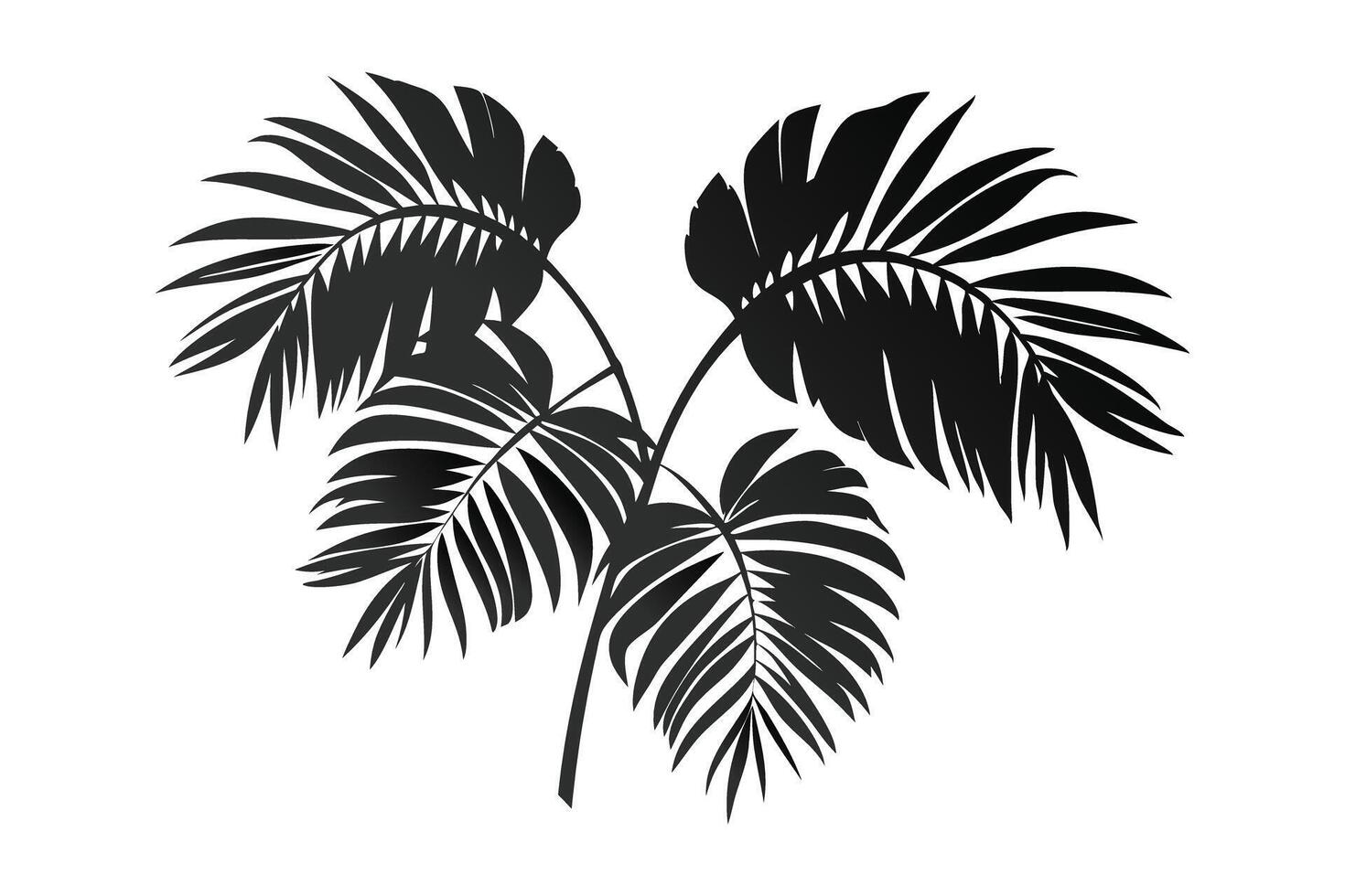 palm leaves white background vector