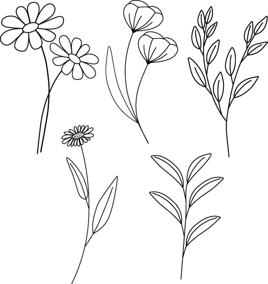 Set of floral illustration for decoration vector
