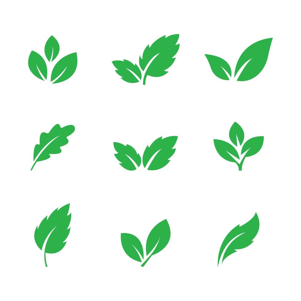 Set of green leaf icons. Leaves of trees and plants. Collection of green leaf. illustration vector