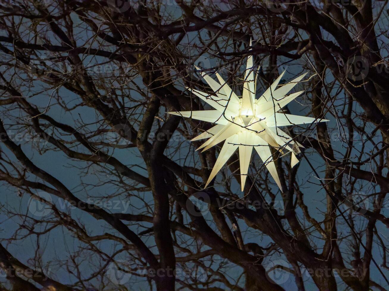 A glowing Christmas star lantern shines brightly among the bare branches of a tree in the city at night, creating a festive and magical holiday atmosphere photo