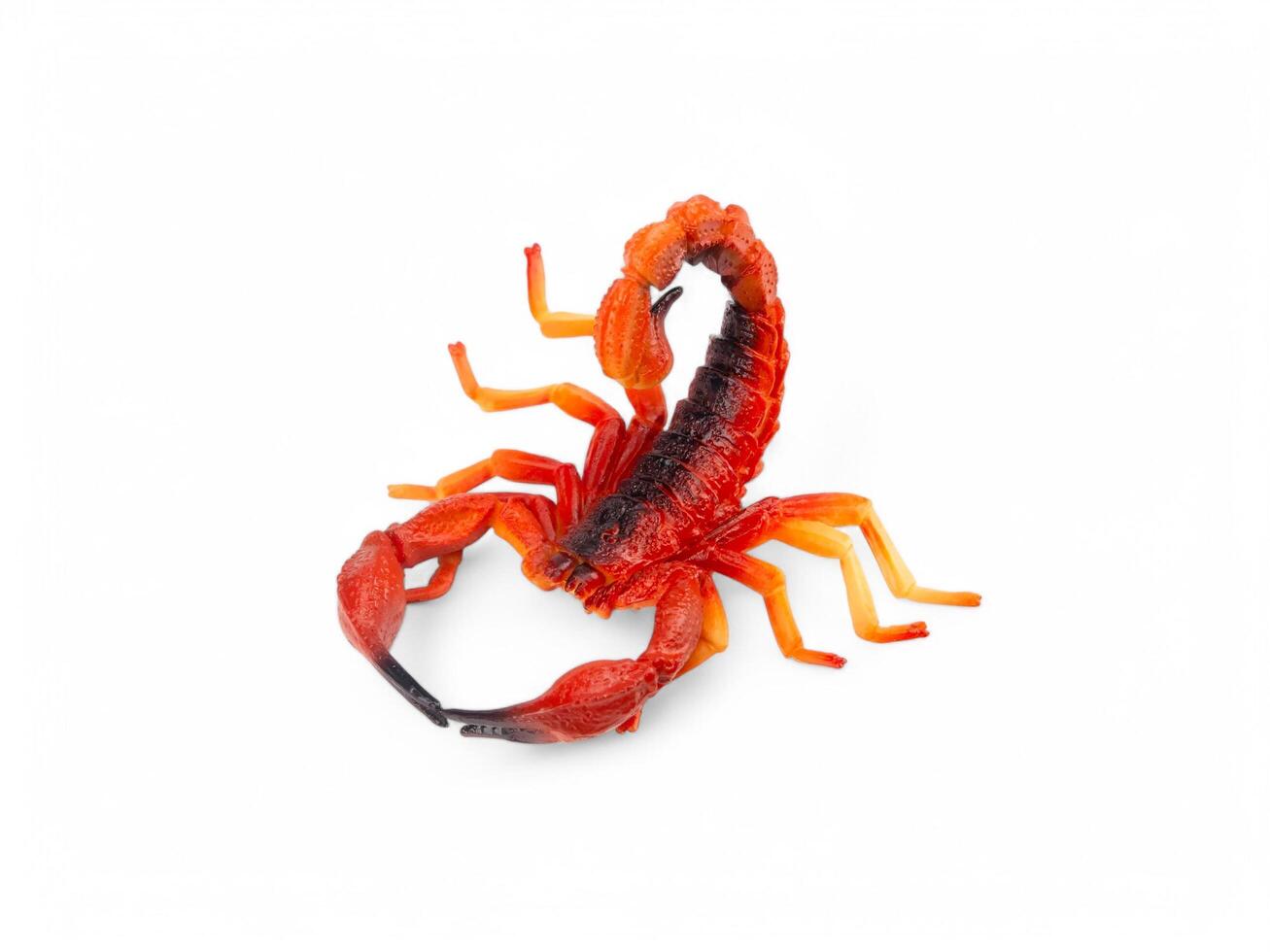 A scorpion toy on a white background photo