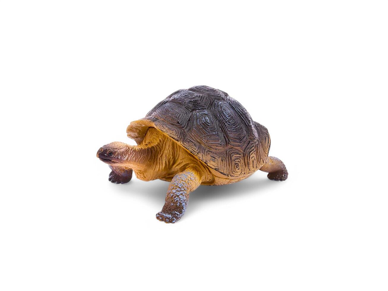 Miniature toy turtle is walking on a white background photo