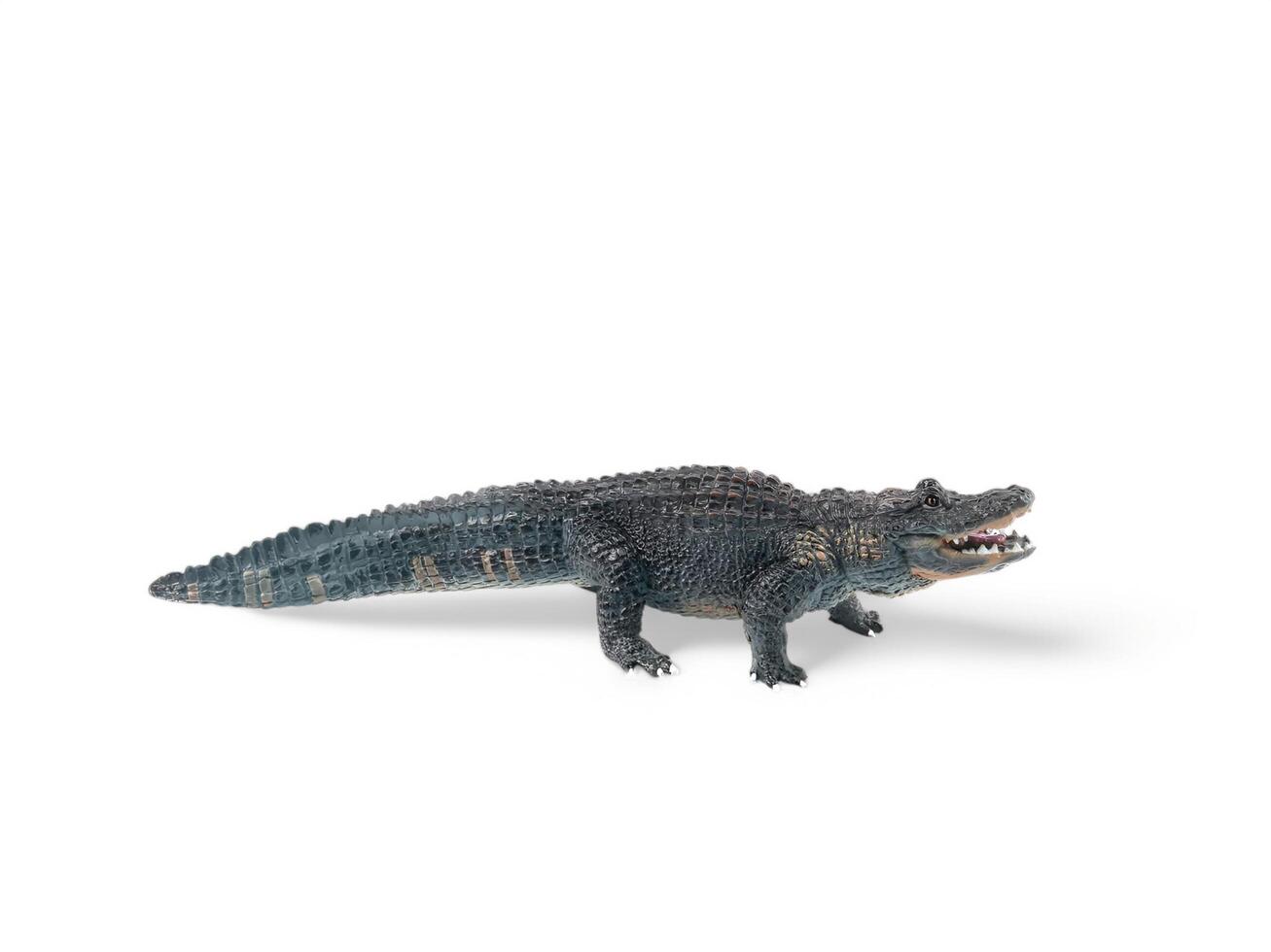 A toy alligator on a white background photo