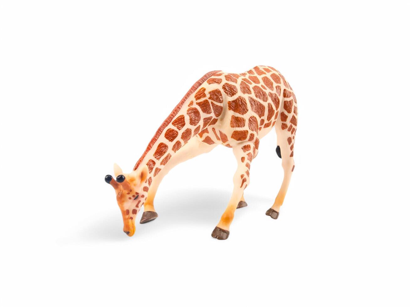 A toy giraffe is bent over on a white background photo