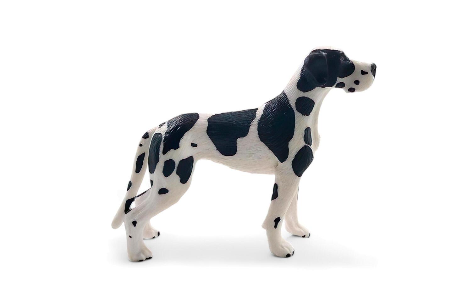 A toy dog with black and white spots standing isolate on white photo
