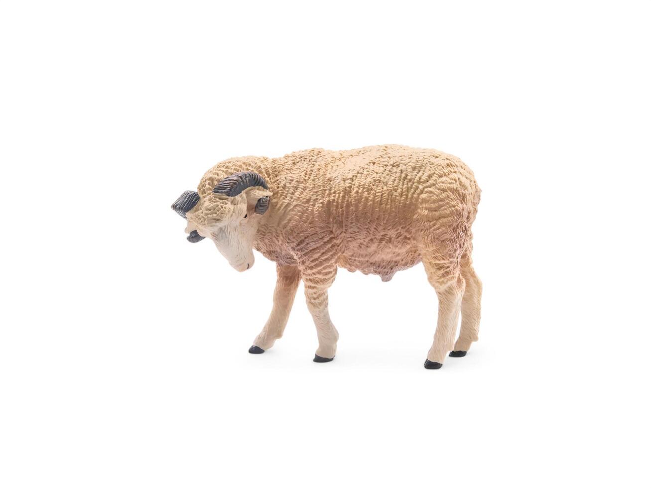 A toy sheep is standing on a white background photo