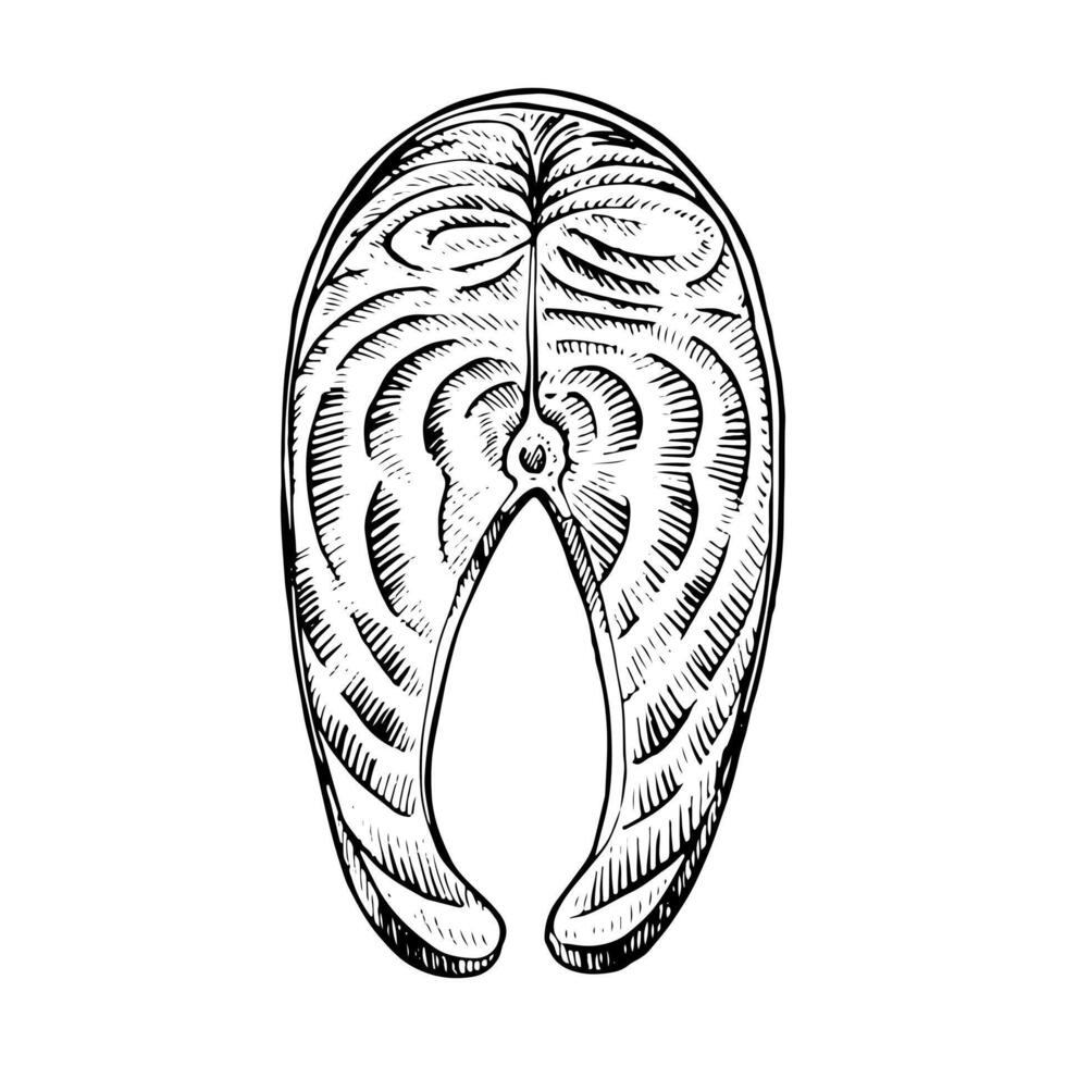 illustration of a salmon fish steak in black and white. Hand drawn line art of a sliced fillet, perfect for seafood, culinary designs. Isolated sketch. With easily removable background vector