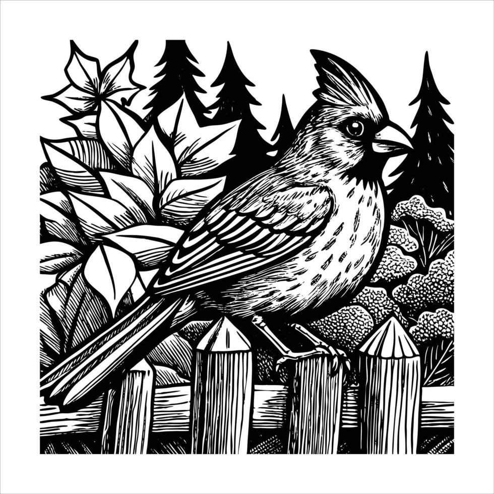 Cardinal Bird Digital vector