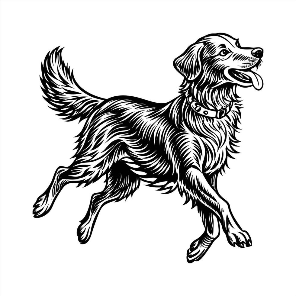 Dog Jumping Frisbee vector