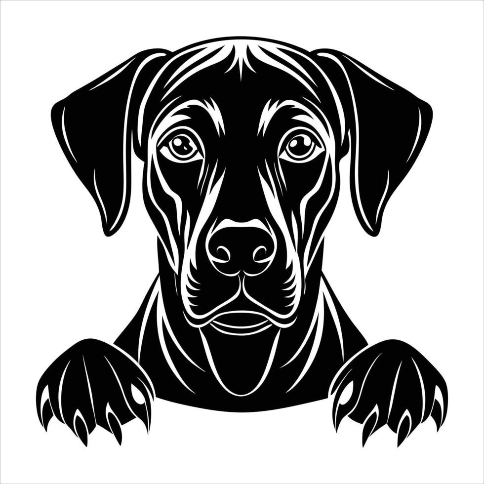Lion animal Continuous line vector