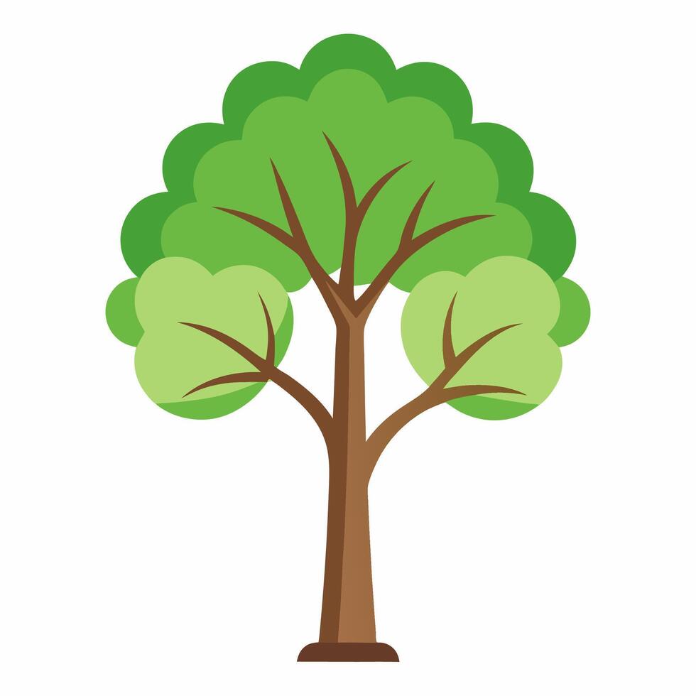 Lush Green Deciduous Tree Spring Foliage Illustration. vector