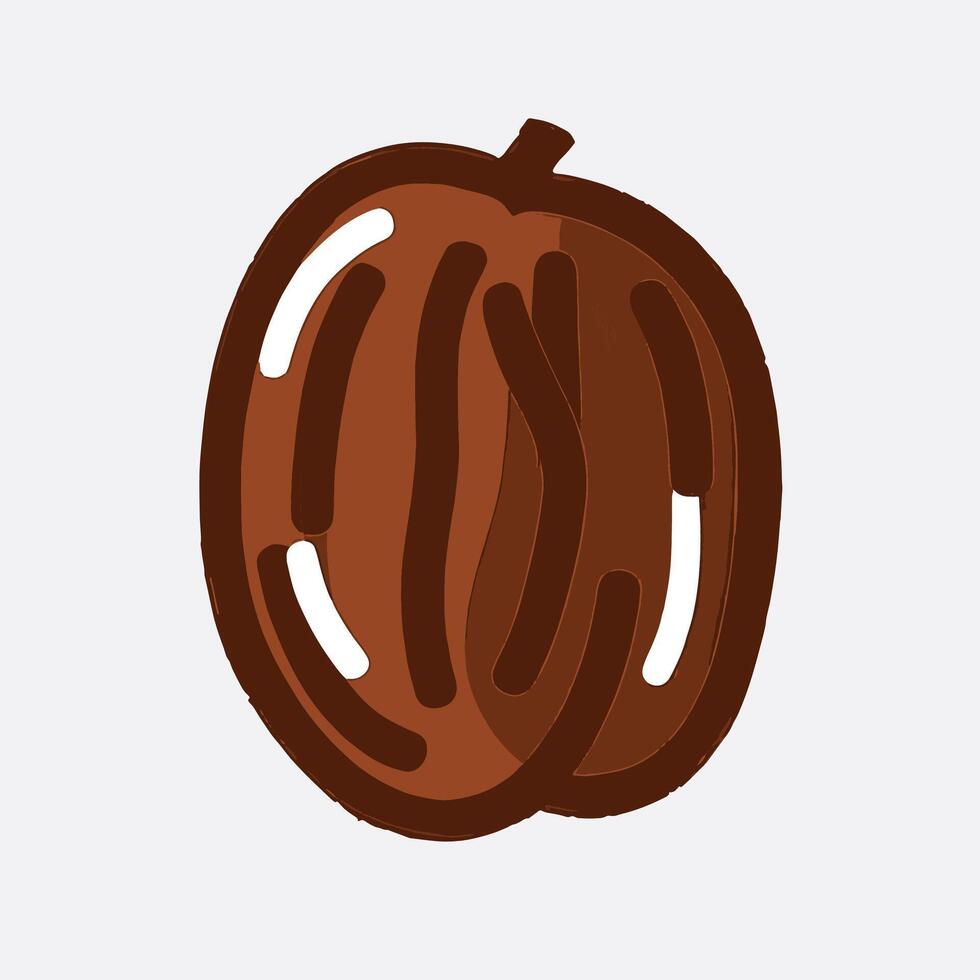 Cartoon Illustration Of A Brown Nut Or Seed vector