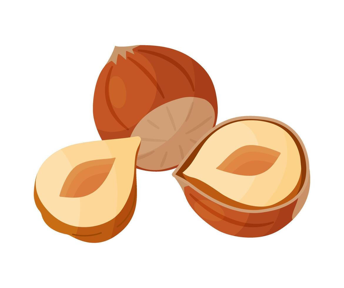Hazelnuts ripe and tasty. Half and whole hazelnuts shelled and unshelled. Hand drawn trendy flat style isolated icon. Healthy treat, snacks, peeled and unpeeled forest nuts icons vector
