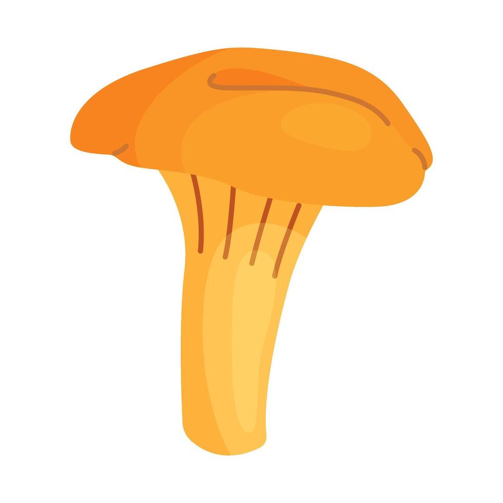 Fresh chanterelle mushroom Hand drawn trendy flat style isolated icon. Edible fungi chanterelle. Gifts of the forest, Yellow mushroom icon vector