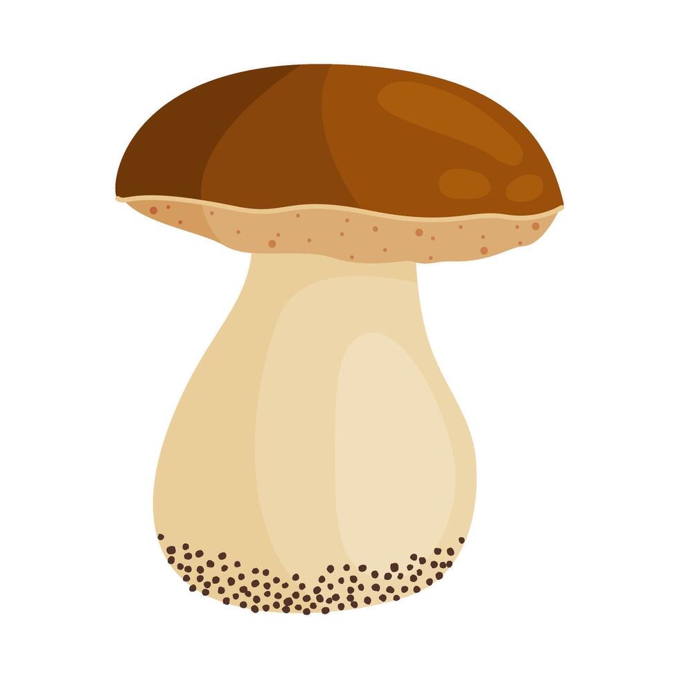 Porcini mushroom. Edible forest mushroom Hand drawn trendy flat style isolated icon. Fresh boletus. Autumn fungus. cep, penny bun, porcino illustration vector