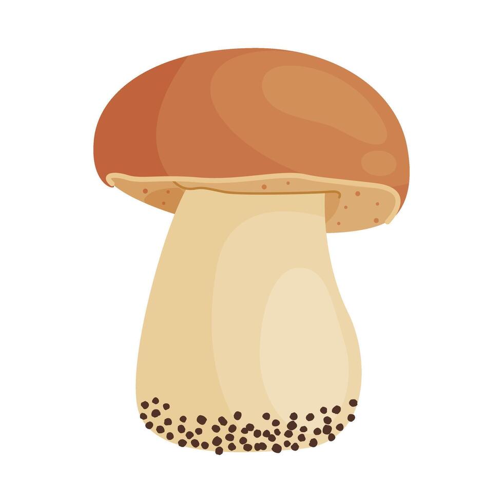 Porcini mushroom. Edible forest mushroom Hand drawn trendy flat style isolated icon. Fresh boletus Autumn fungus. cep, penny bun, porcino illustration vector