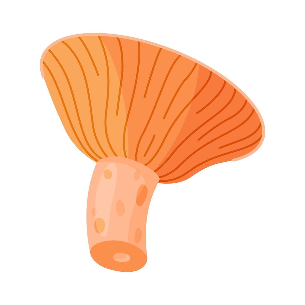 Saffron milk cap edible forest mushroom icon. Hand drawn trendy flat style delicious milk cap. Lactarius deliciosus Isolated vector