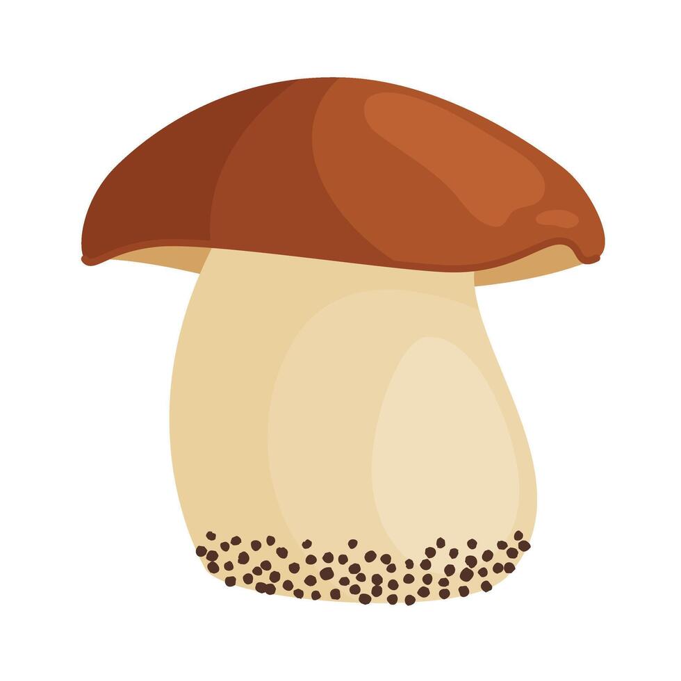 Porcini mushroom. Edible forest mushroom Hand drawn trendy flat style isolated icon. Fresh boletus. Autumn fungus. cep, penny bun, porcino. Botanical icon vector