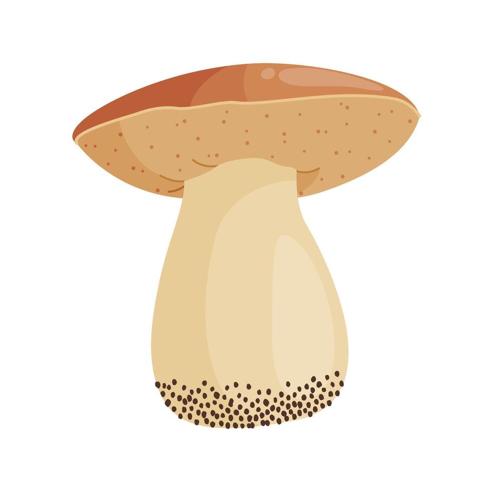 Porcini mushroom. Edible forest mushroom Hand drawn trendy flat style isolated icon. Fresh boletus. Autumn fungus. cep, penny bun, porcino. Botanical illustration vector