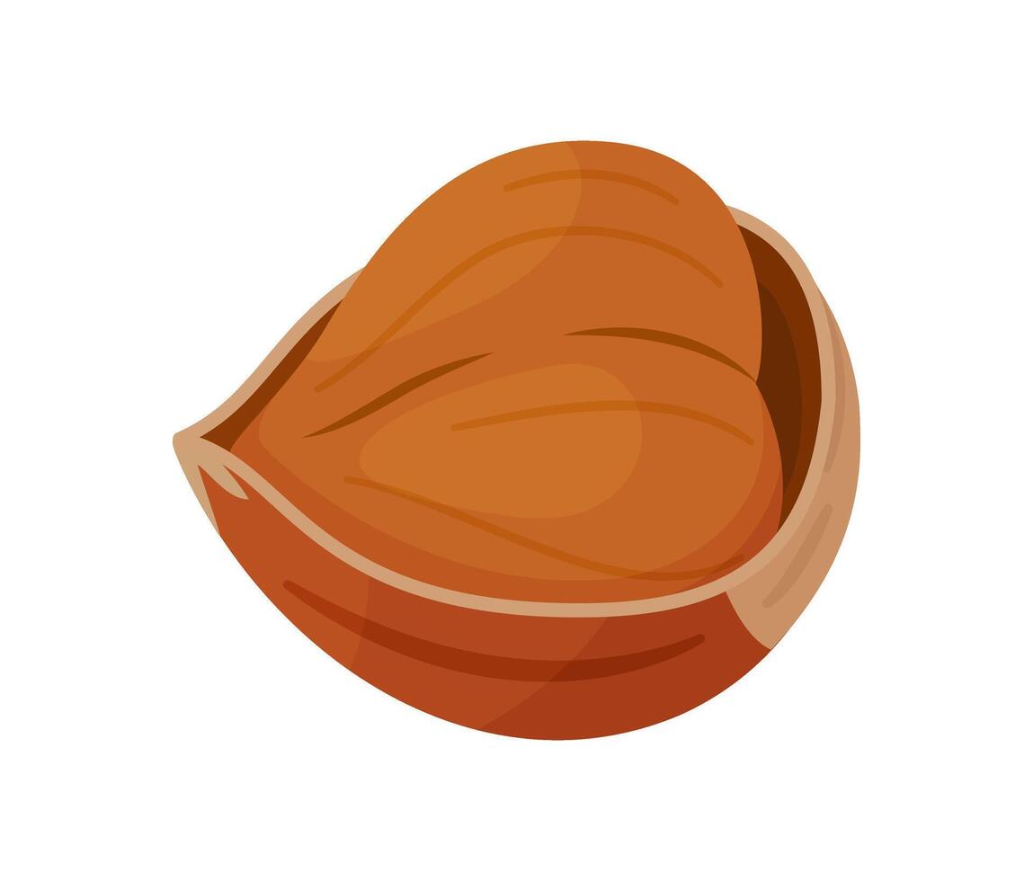 Hazelnut ripe and tasty. Whole hazelnut in the shell. Hand drawn trendy flat style isolated icon. Healthy treat, snacks, peeled forest nut. illustration vector