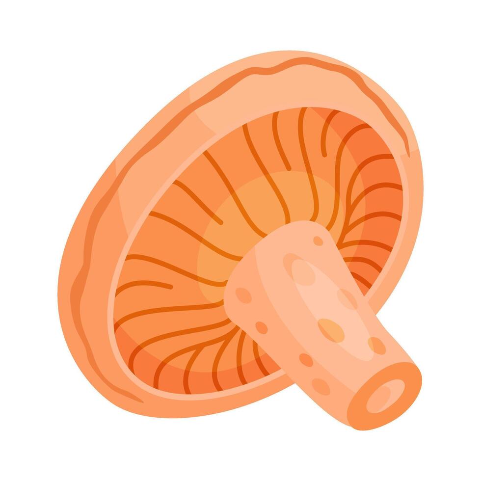 Saffron milk cap edible forest mushroom icon. Hand drawn trendy flat style delicious milk cap. Lactarius deliciosus fungus illustration Isolated vector