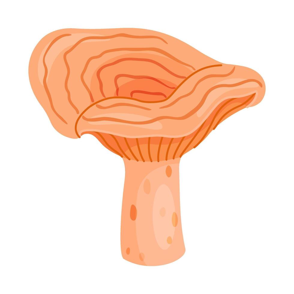 Saffron milk cap edible forest mushroom. Hand drawn flat style delicious milk cap. Lactarius deliciosus fungus group engraved. illustration Isolated vector