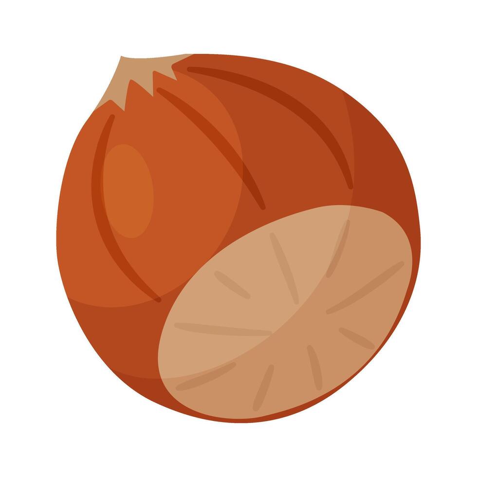 Hazelnut ripe and tasty. Whole hazelnut in shell. Hand drawn trendy flat style isolated icon. Healthy treat, snacks, unpeeled forest nut icon vector