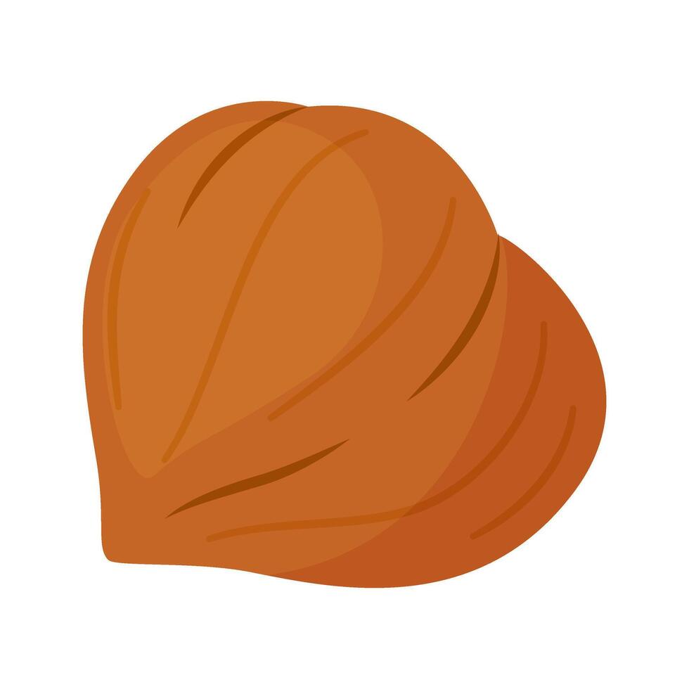 Hazelnut kernel ripe and tasty. Whole hazelnut without skin. Hand drawn trendy flat style isolated icon. Healthy treat, snacks, peeled forest nut icon vector