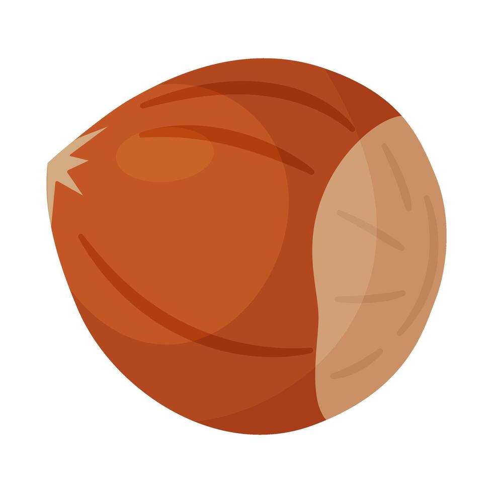 Hazelnut ripe and tasty. Whole hazelnut in shell. Hand drawn flat style isolated icon. Healthy treat, snacks, unpeeled forest nut illustration vector