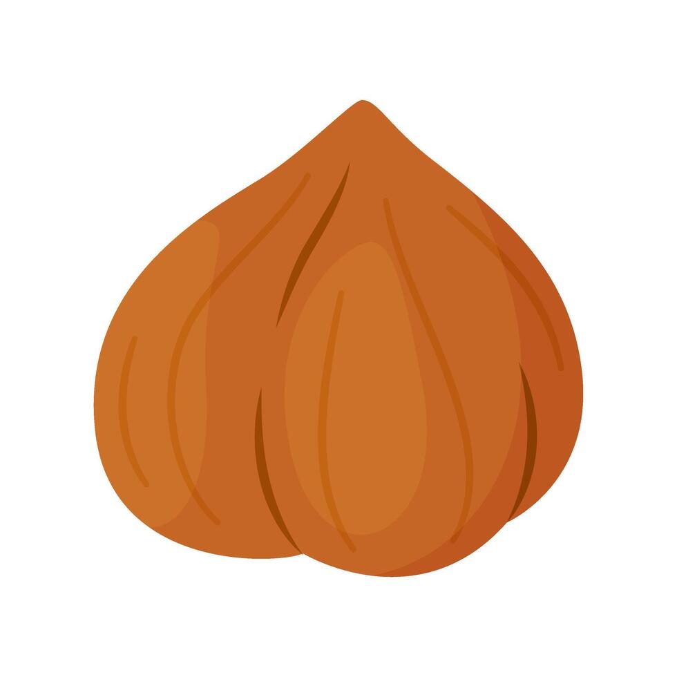Hazelnut kernel ripe and tasty. Whole hazelnut without skin. Hand drawn trendy flat style isolated icon. Healthy treat, snacks, peeled forest nut. illustration vector