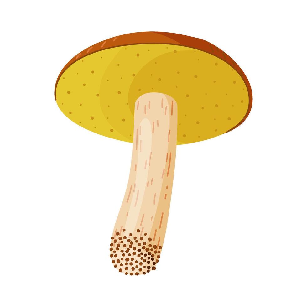 Suillus luteus, yellow mushroom. Edible forest fungus slippery jack or sticky bun. Suillus mushroom or yellow pig Hand drawn trendy flat style isolated icon. illustration vector
