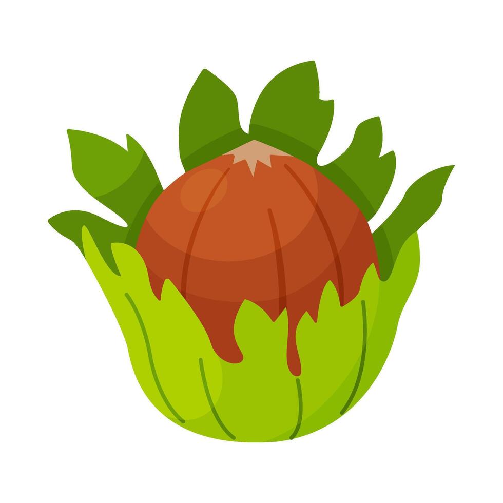 Hazelnut with leaves. Cartoon hazelnut Hand drawn trendy flat style isolated icon. Organic raw hazel with leaves, tasty snacks. Forest fresh nut illustration vector