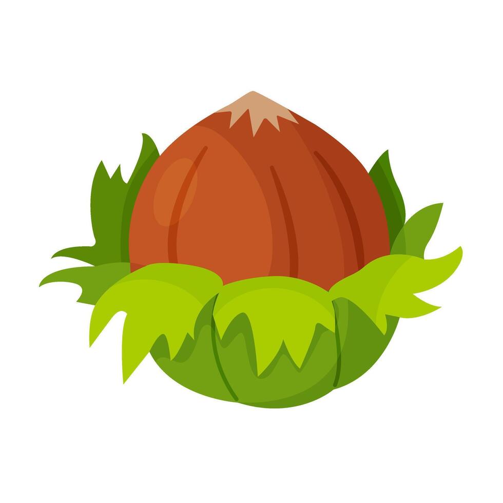 Fresh Hazelnut with leaves. Cartoon hazelnut Hand drawn trendy flat style isolated icon. Organic raw hazel with leaves, tasty snacks. Forest nut icon vector