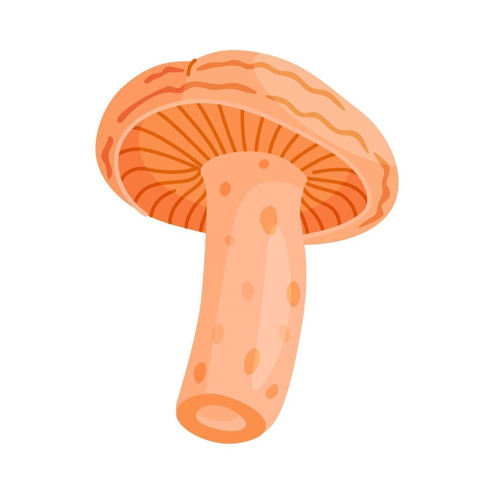 Saffron milk cap edible forest mushroom icon. Hand drawn trendy flat style delicious milk cap illustration Isolated vector