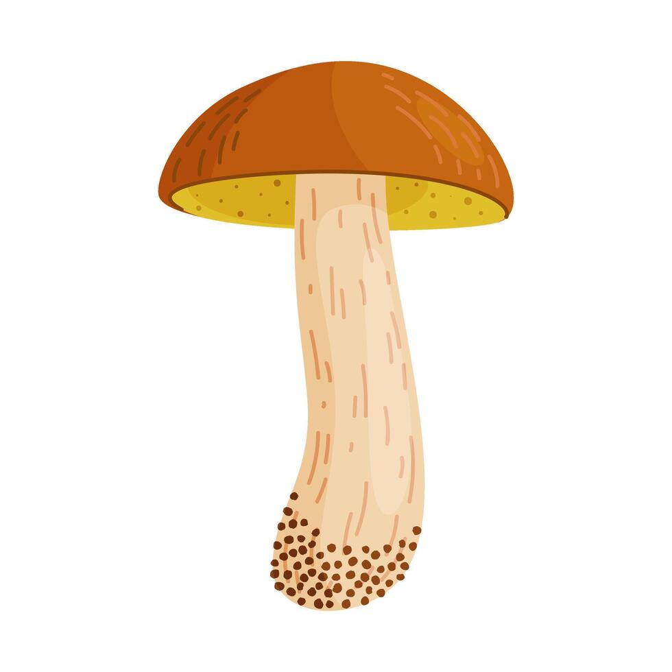 Suillus luteus, yellow mushroom. Edible forest fungus slippery jack or sticky bun. Suillus mushroom or yellow pig Hand drawn flat style isolated illustration vector