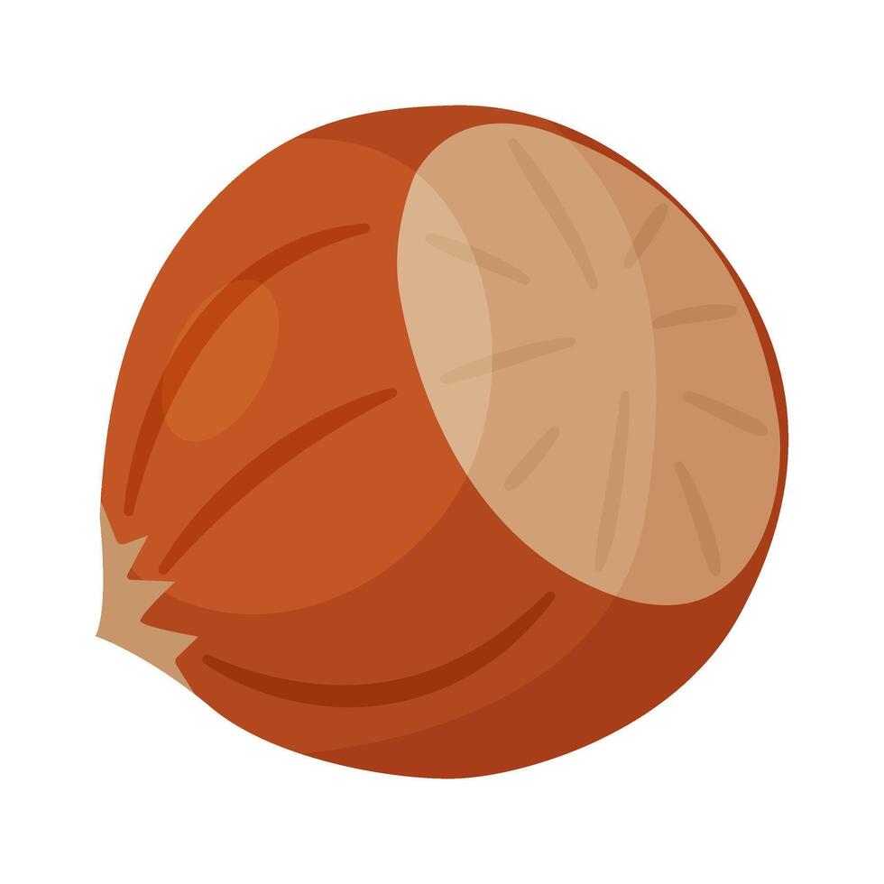 Hazelnut ripe and tasty. Whole hazelnut in shell. Hand drawn trendy flat style isolated icon. Healthy treat, snacks, unpeeled forest nut vector