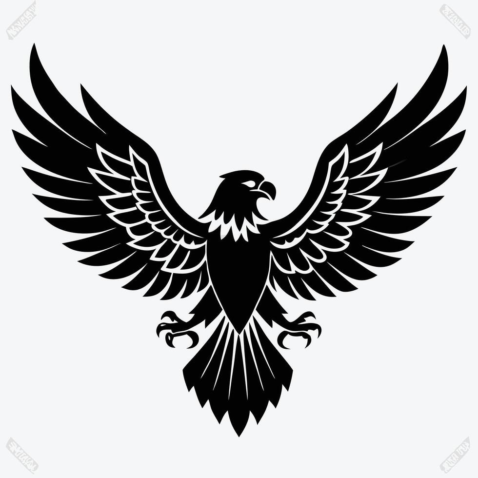 The eagle, predatory bird, flies with outstretched wings. Figure isolated on a white background. A large wild bird eagle flies with outstretched wings. vector