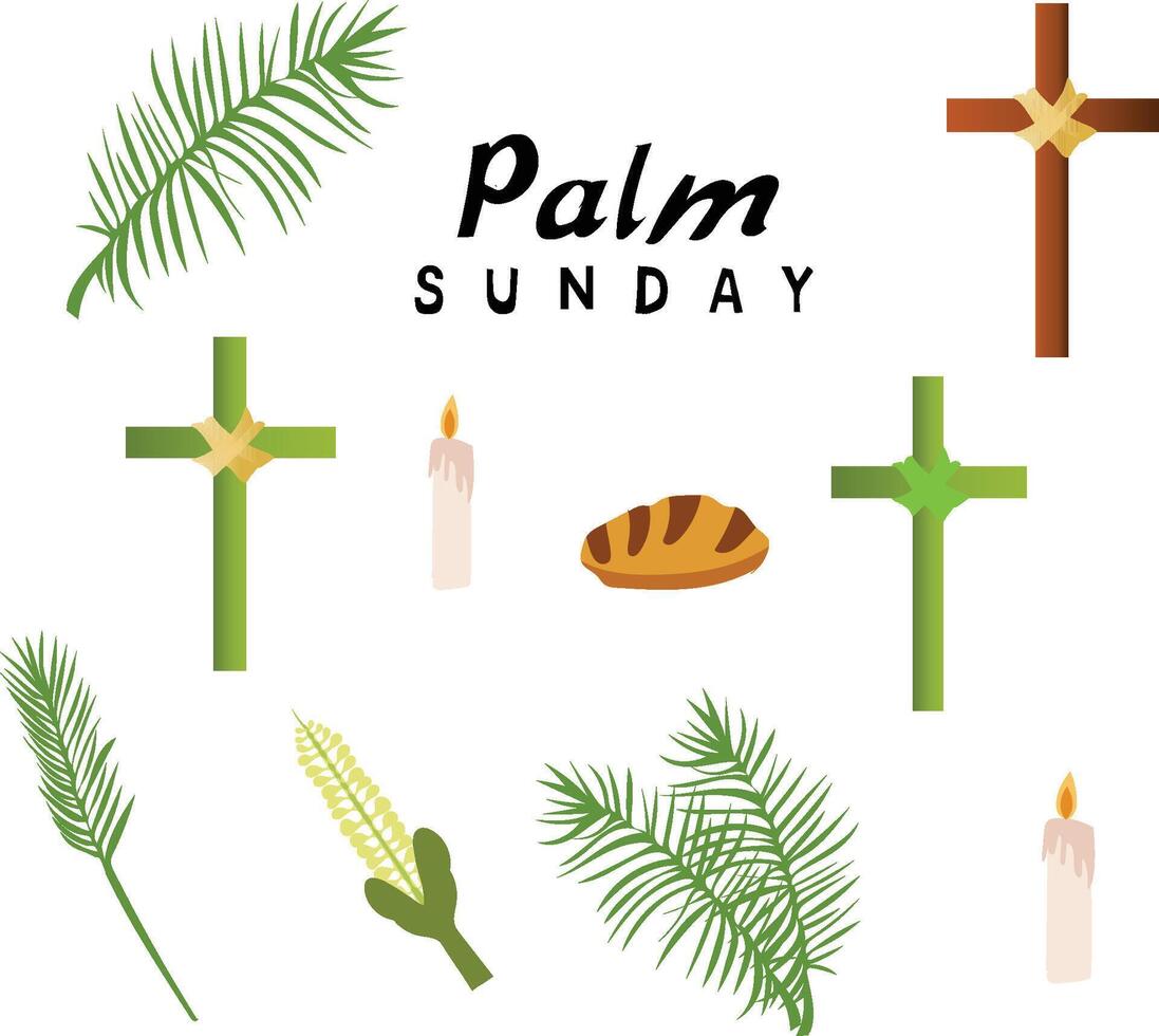 palm sunday banner vector