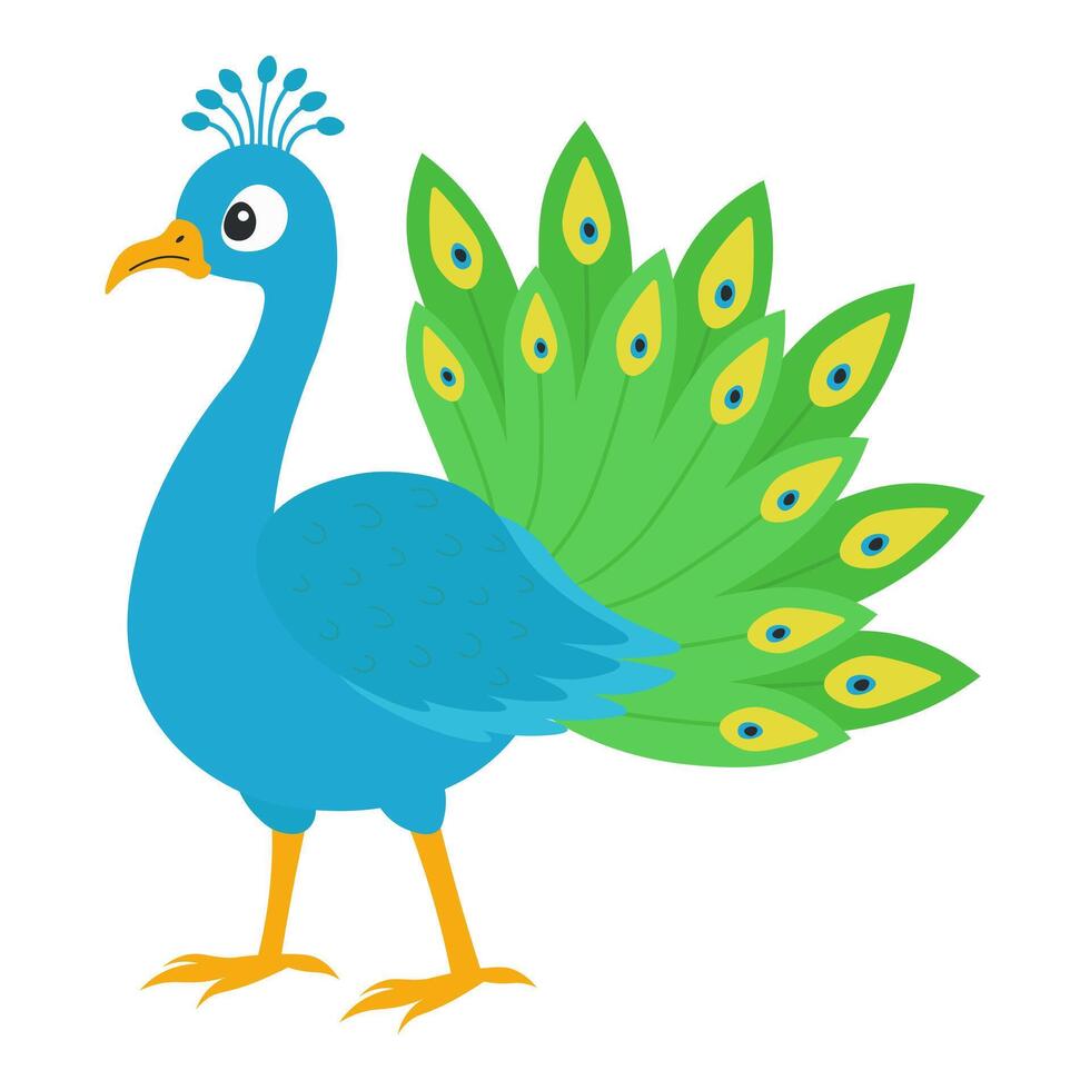 Peacock in flat style illustration vector