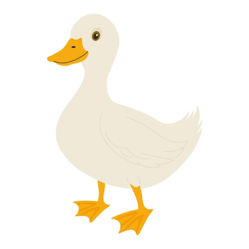 Duck in flat style. Illustration of an animal on a farm vector
