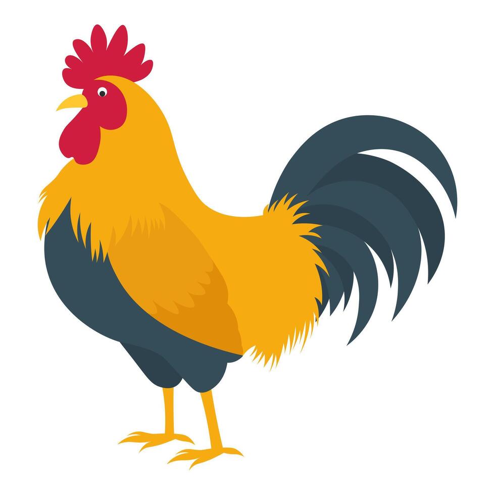 Rooster in flat style. Illustration of an animal on a farm vector