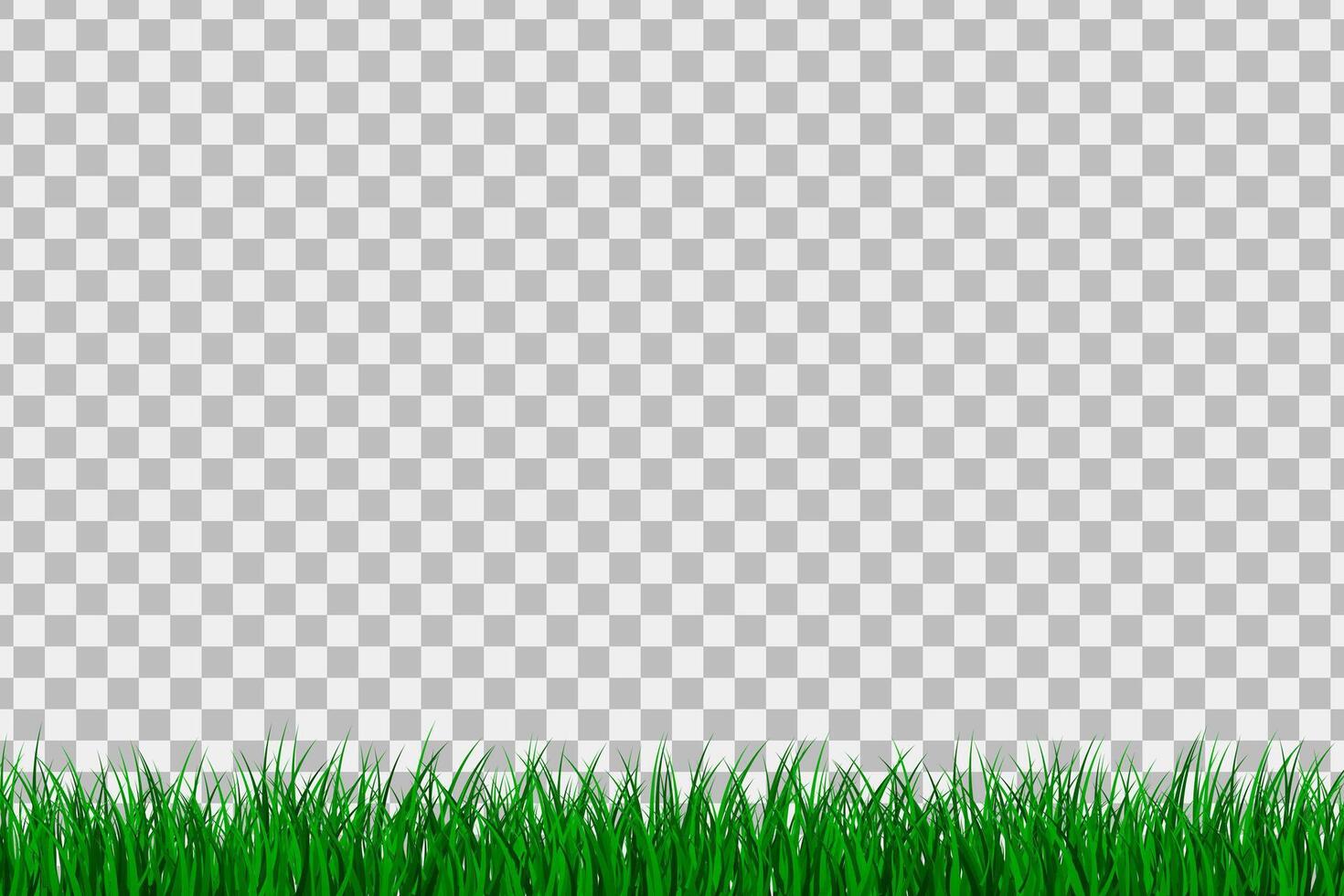 Green grass isolated background. vector
