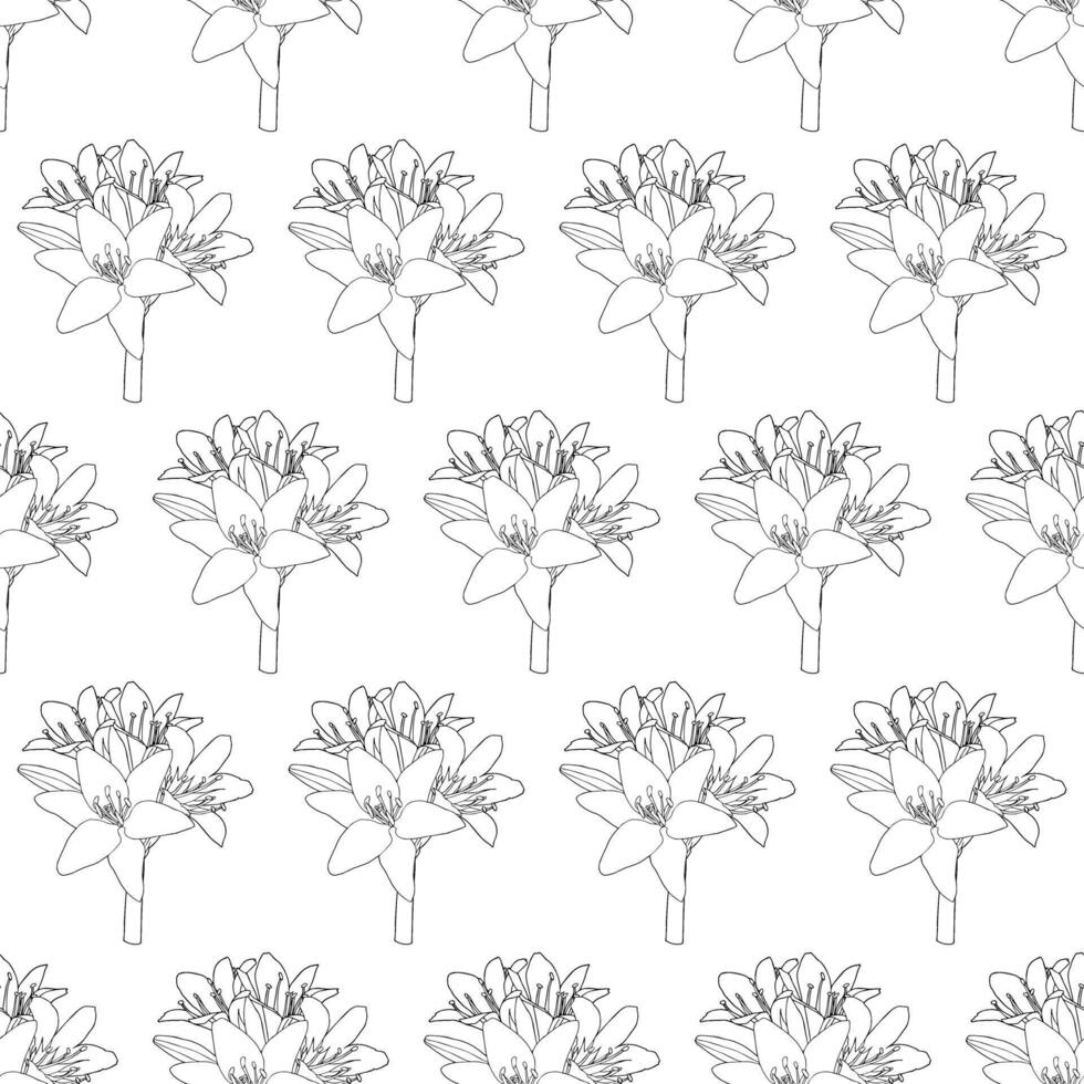 A branch with lilies on a short stem without foliage. Doodle style. vector