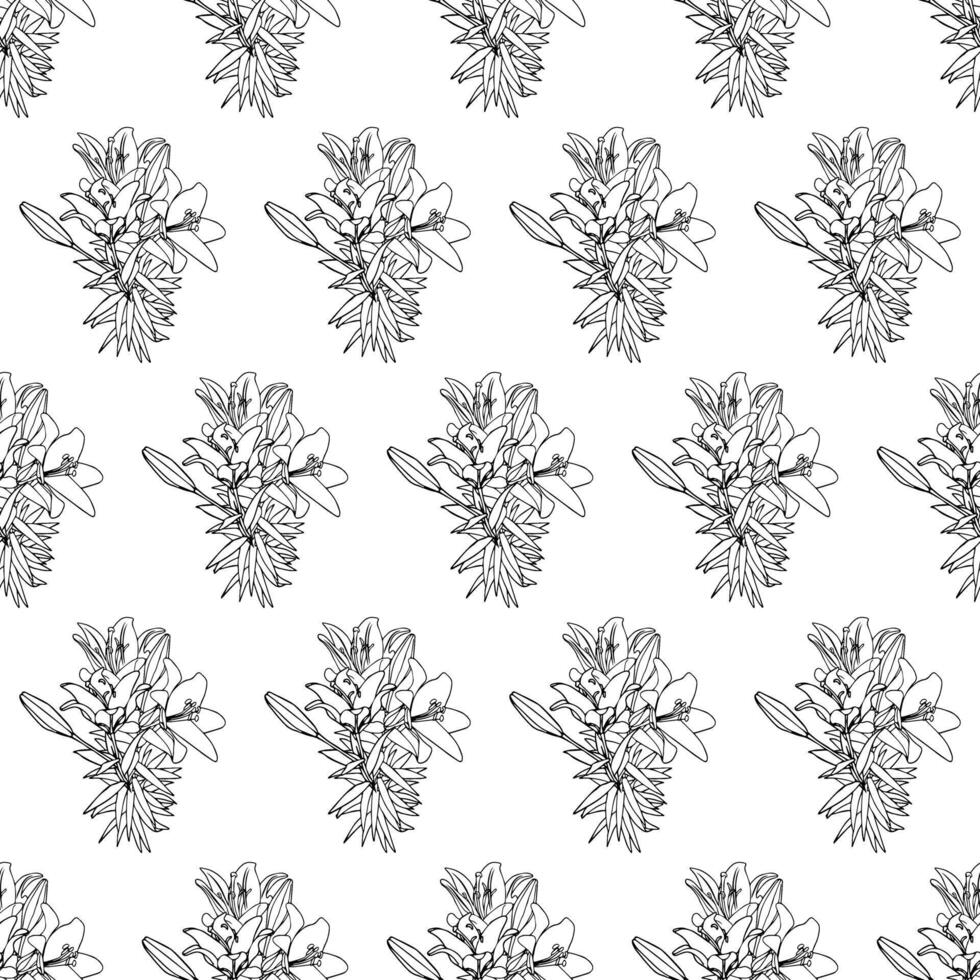 Flowers and buds of lilies on a long stem. Doodle style. vector