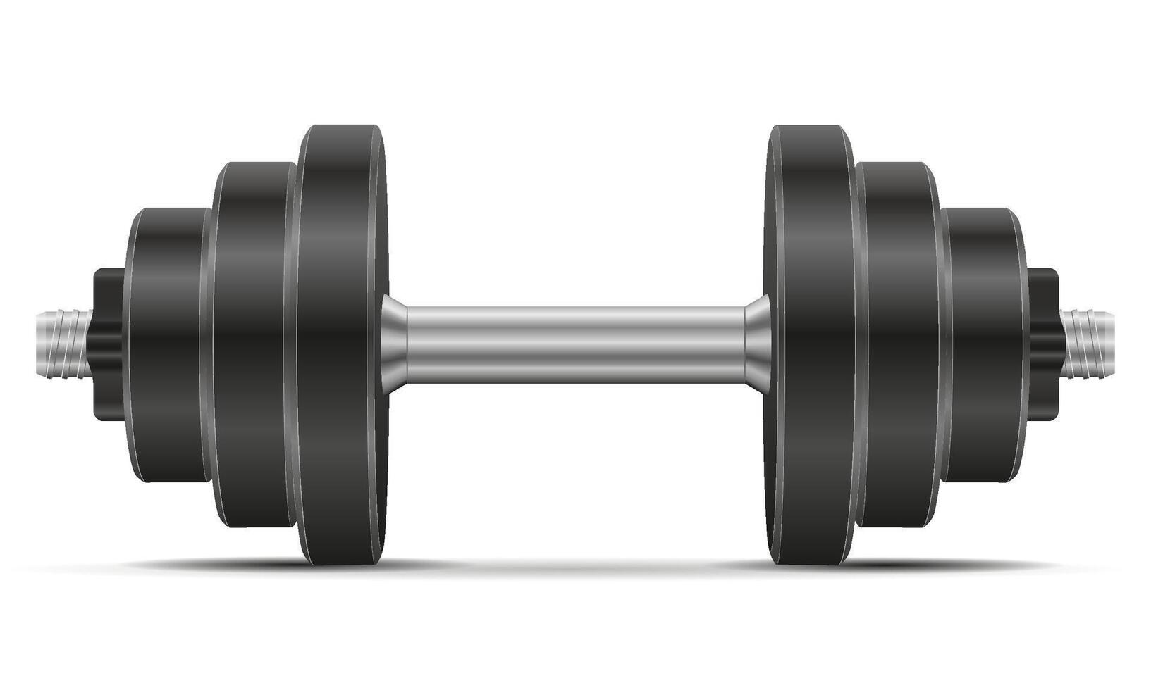 dumbbells for sports or fitness for muscle building stock cartoon illustration isolated vector